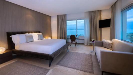 ADAM Suites - 119