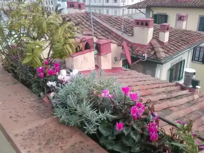 Antica Dimora Johlea - 10