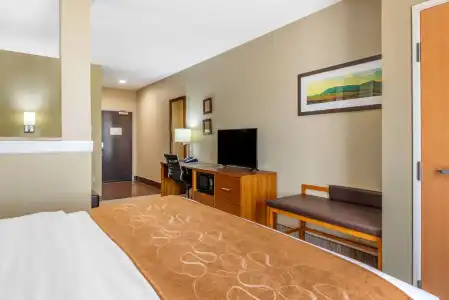 Comfort Suites University - 65
