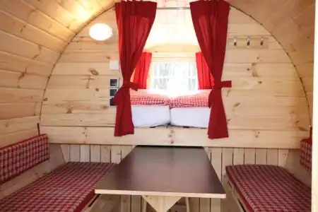 Azur Waldcamping Auwaldsee - 41