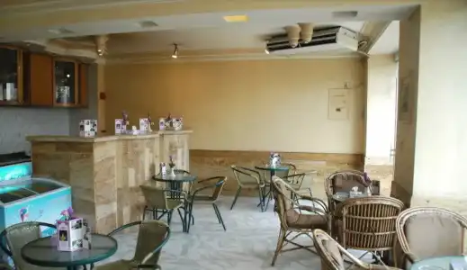 Amman Orchid - 15