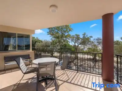 Alexander Beachfront Apartments - 28