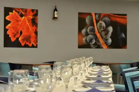 Sercotel Murrieta - 16
