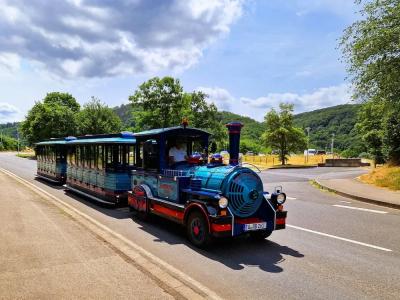 Dormio resort Eifeler Tor - 28