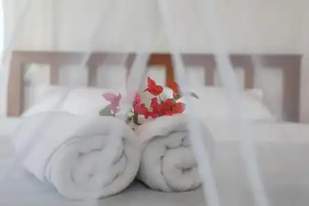 Le Forest Resort - 97