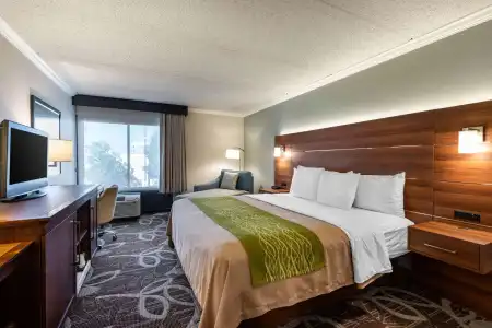 Comfort Inn Anaheim Resort - 4