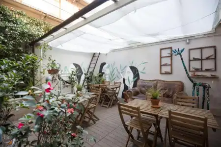 Tomato Backpackers - 14