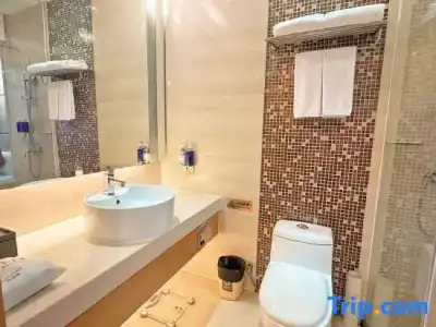 Dorsett Wuhan - 120