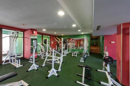 Hrizantema- All Inclusive - 17