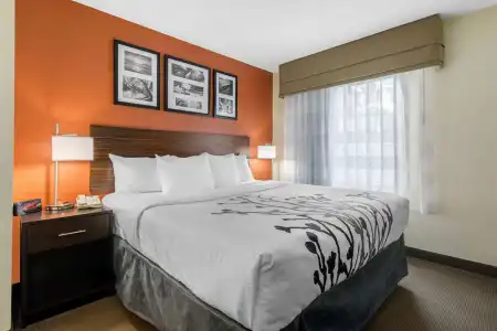 Sleep Inn Sarasota North - 60