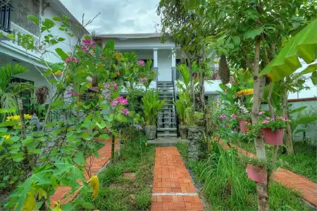 Dream Butterfly Garden Boutique Villa - 19