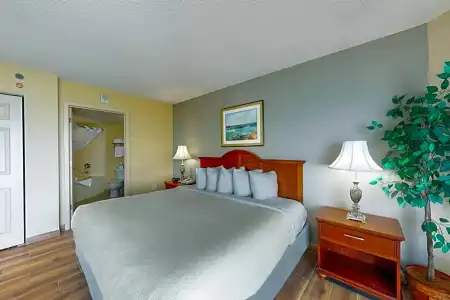 Carolinian Beach Resort by Vacasa - 398
