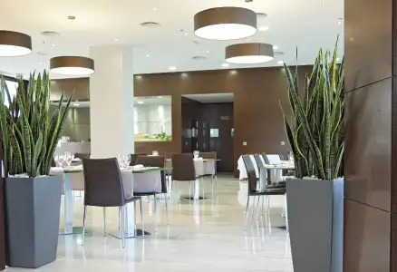 Sercotel JC1 Murcia - 18