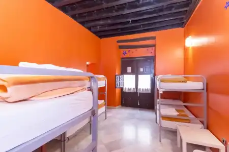 White Nest - 58