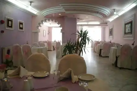 Amman Orchid - 14