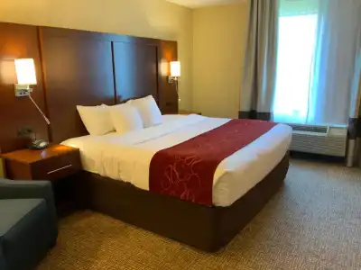 Comfort Suites Fredericksburg North - 50