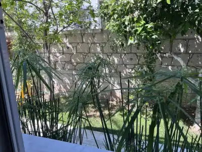 Lupa Alacati - 116