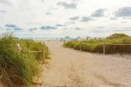 Seagull Miami Beach - 49