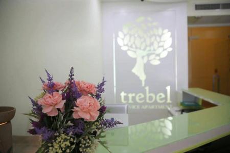 Trebel Service Apartment Pattaya - 5