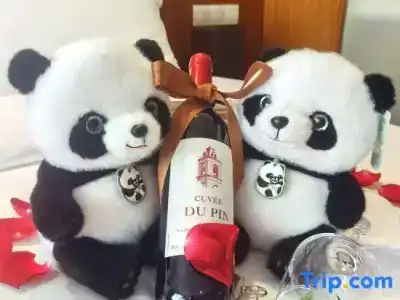Shenzhen Sichuan - 26
