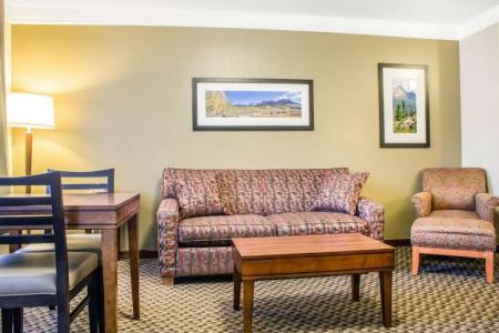 Comfort Inn & Suites Durango - 70