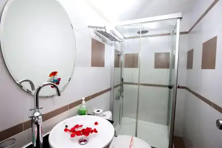 Hồng Hạc - 8