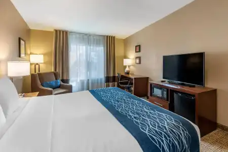 Comfort Inn & Suites Ventura Beach - 38