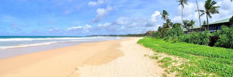 Koggala Beach - 14