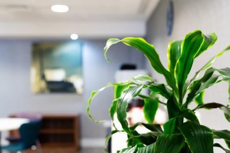 Holiday Inn Express Birmingham - Snow Hill by IHG - 12