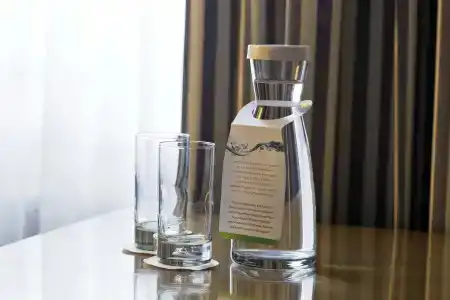 Holiday Inn VIENNA CITY by IHG - 43