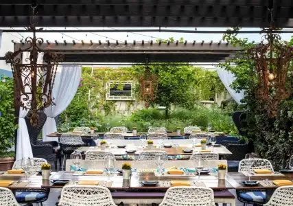 Sofitel Los Angeles at Beverly Hills - 26