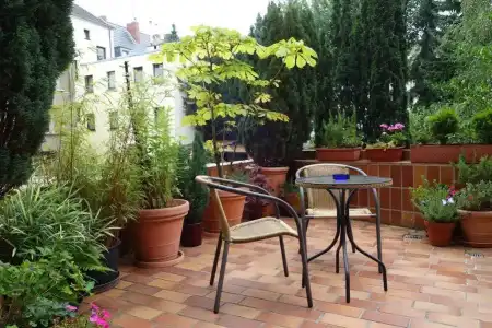 Pension am Helenenwall - 13