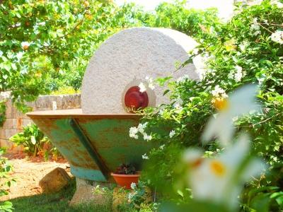 Villa B&B Antiche Macine del Salento - 33