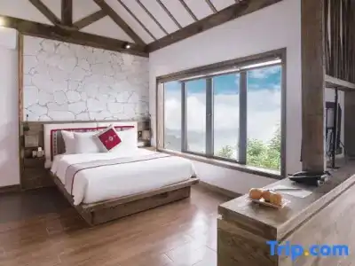 Sapa Sky - 50