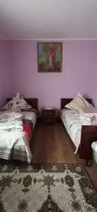 Sadyba U Vasylya - 2