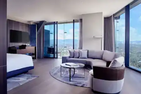 The Ritz-Carlton, - 113