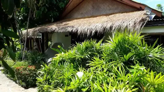 Papillon Resort - 84