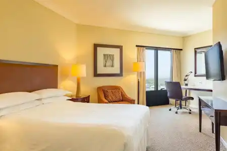 Sheraton Buenos Aires & Convention Center - 5