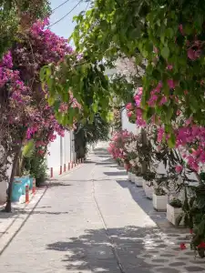 Terra Fos Naxos Studios - 26