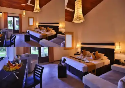 Chaarya Resort & Spa by Chandrika - 3