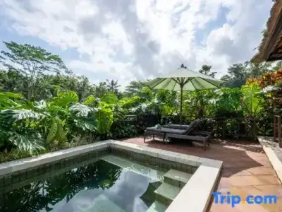 Villa Semana Resort & Spa - 233