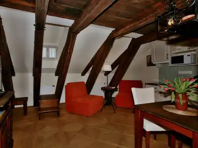 Residence U Mecenáše - 95