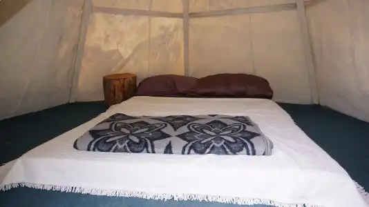 Shiva Camp - 2