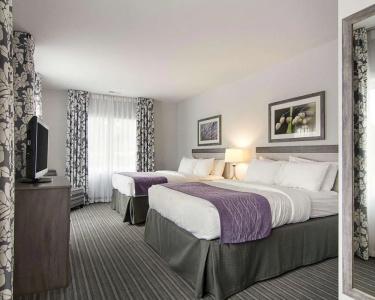Comfort Inn Williamsburg Gateway - 23