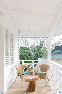 Mosquito Boutique - 67