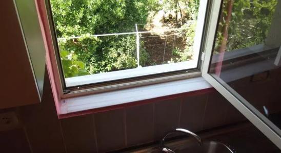 Dolphin Hostel - 6