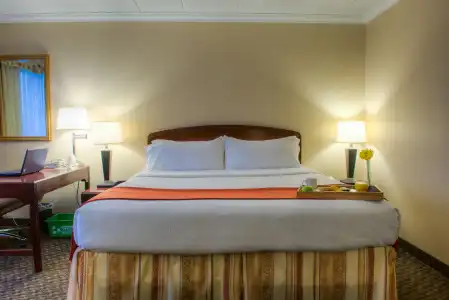 Four Points by Sheraton Windsor Downtown - 4