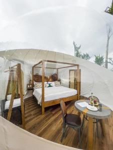 Green Land Bubble Glamping - 4