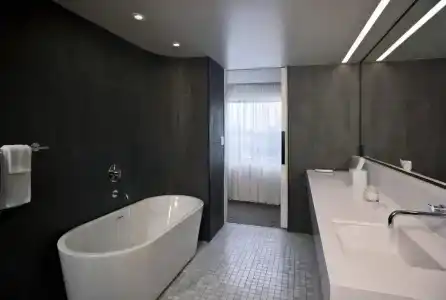 The Statler Dallas Curio Collection By Hilton - 54