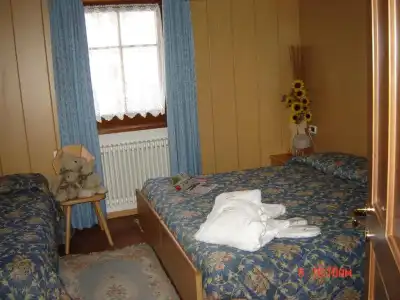 Stella Alpina - 43